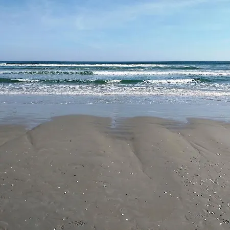 Sun Mamaia Navodari