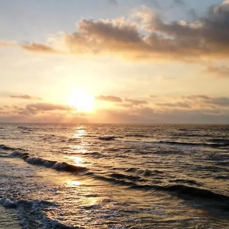 Sun Mamaia Năvodari